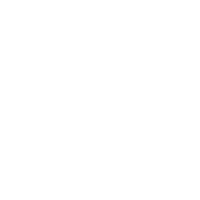 The Friendship
