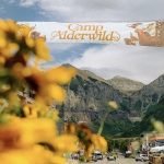 Camp Alderwild Telluride