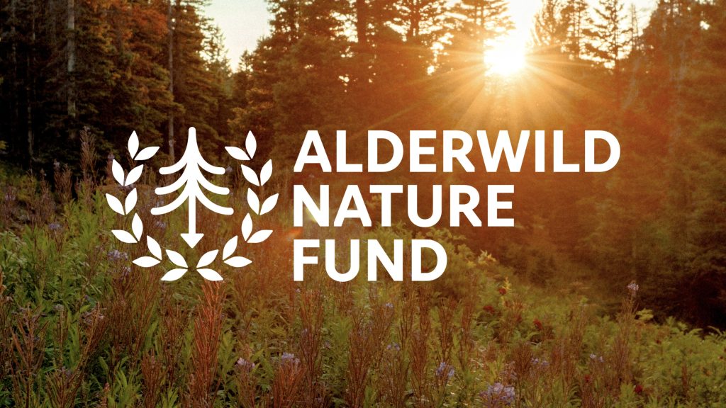 Camp Alderwild Nature Fund