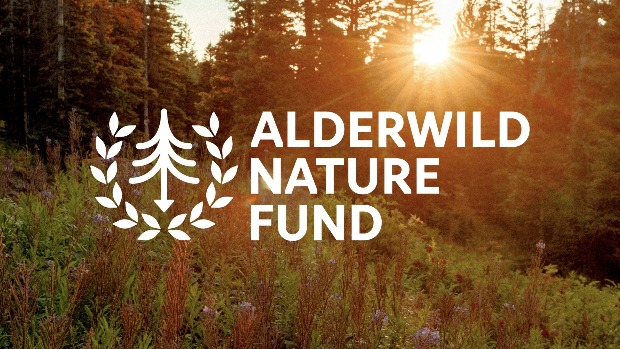 Camp Alderwild Nature Fund